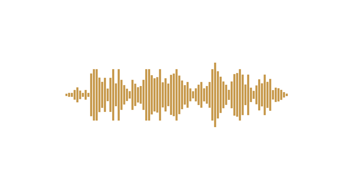 A voice note waveform
